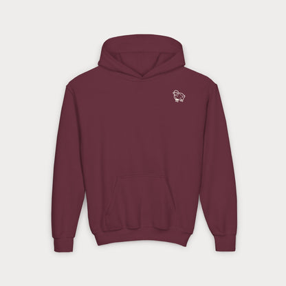 Psalm 23 Youth Hoodie – Faith-Based Kids Sweatshirt